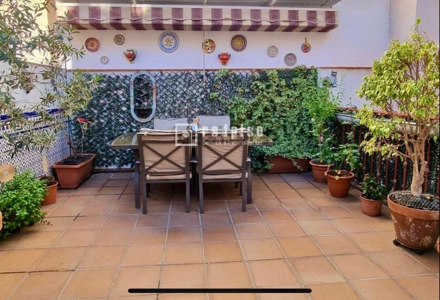 Maravilloso Apartamento Centrico De 70M2, Jardin Propio 40M2 Con Piscina Para Ninos Y Parking Opcional Malaga Exterior photo